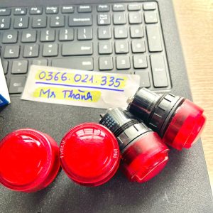 Đèn báo đổ Ex phòng nổ 24V