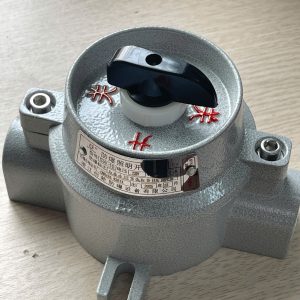 cong-tac-phong-no-sw-10-220v-chinh-hang