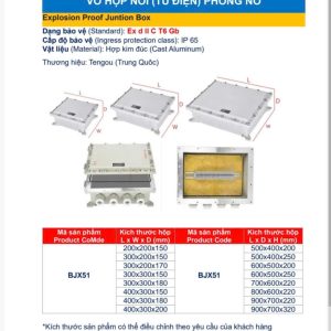 TỦ ĐIỆN CHỐNG CHÁY NỔ NHÀ MÁY CÔNG NGHIỆP BJX51 - Ảnh 3