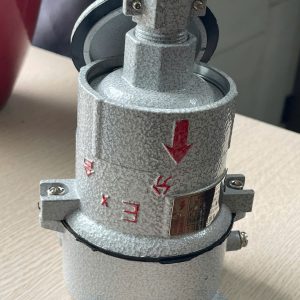 Ổ CẮM PHÍCH CẮM ĐIỆN PHÒNG NỔ BCX53-16 220V/380V